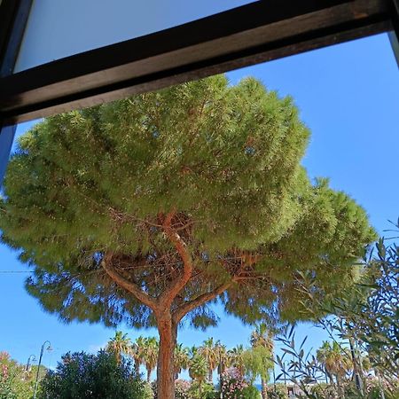 Da Cappellini Bed & Breakfast Isola delle Femmine Exterior photo